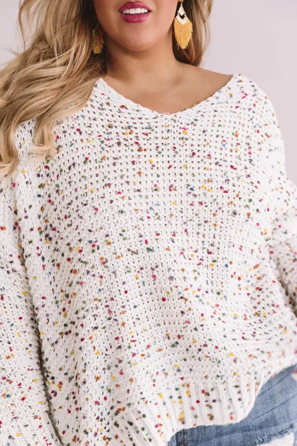 Aspen Holiday Confetti Knit Sweater Curves