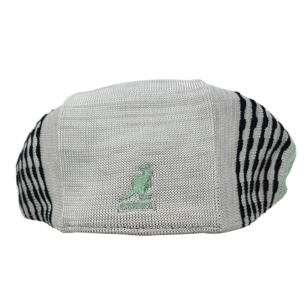 Blip Stripe 504 Striped Ivy Cap