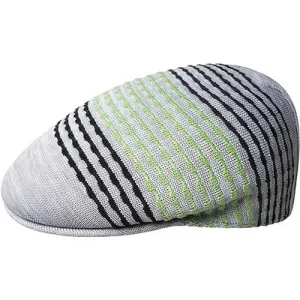 Blip Stripe 504 Striped Ivy Cap