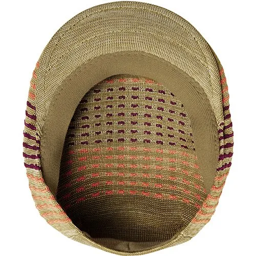 Blip Stripe 504 Striped Ivy Cap