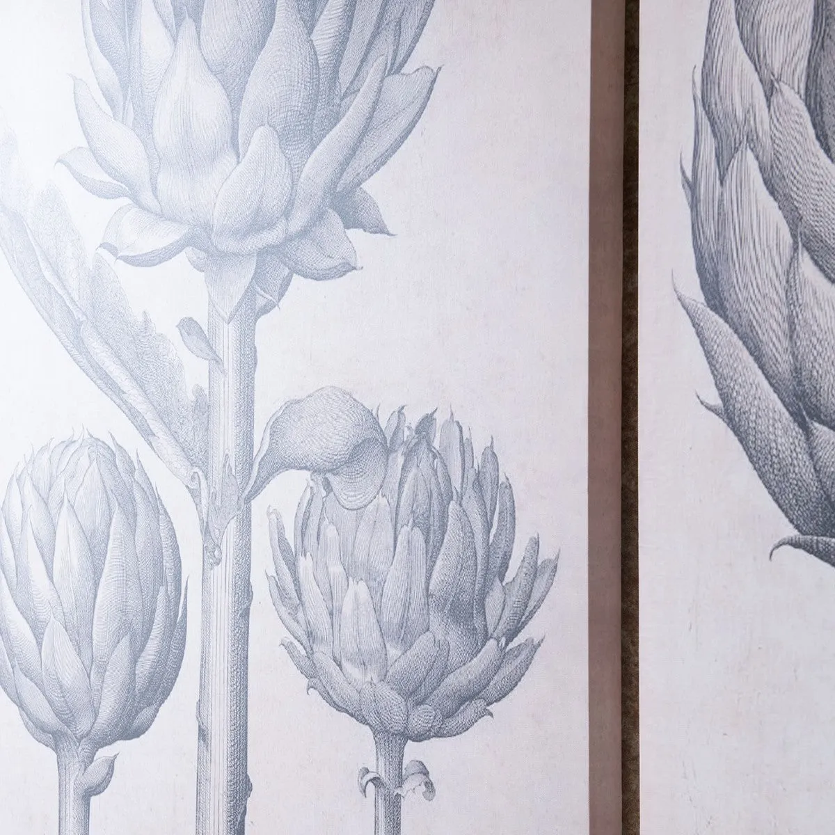 Brockby Set Of Two Canvas Artichoke Wall Art 120cm