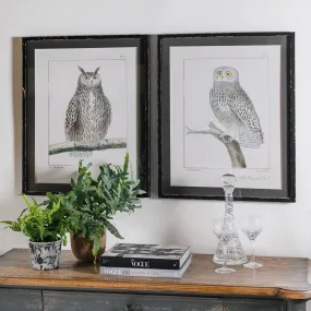 Brookby Set Of Two Framed Owl Wall Art 73cm