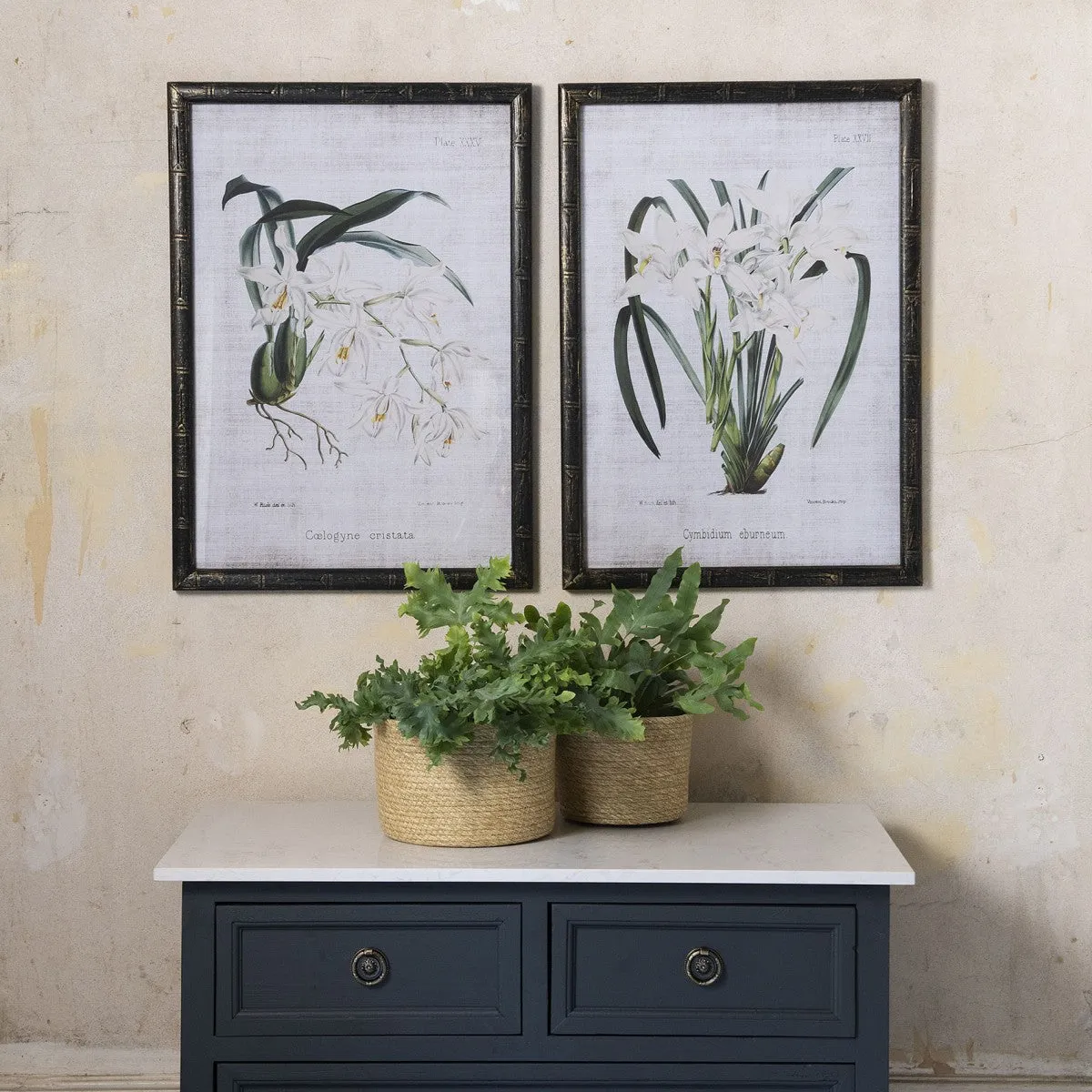 Brookby Set Of Two White Orchid Wall Art 70cm