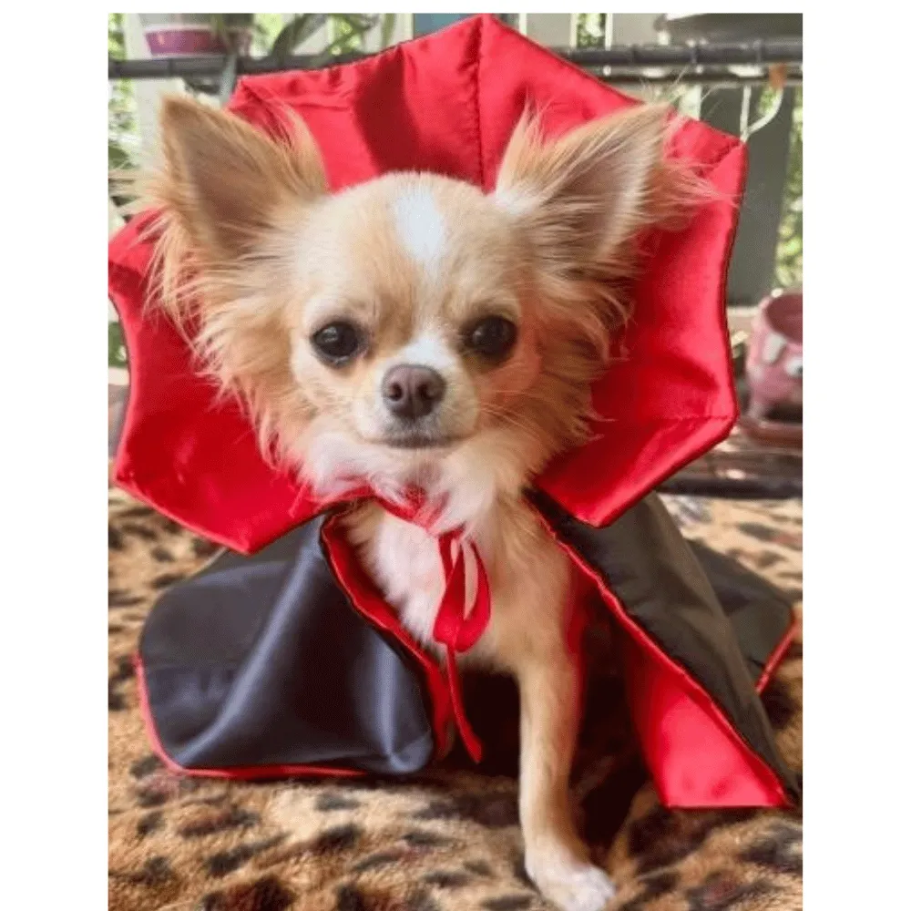 Dracula Cape Dog Costume