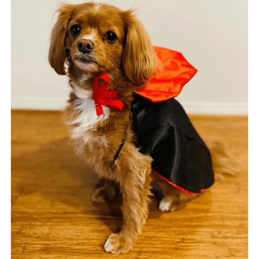 Dracula Cape Dog Costume