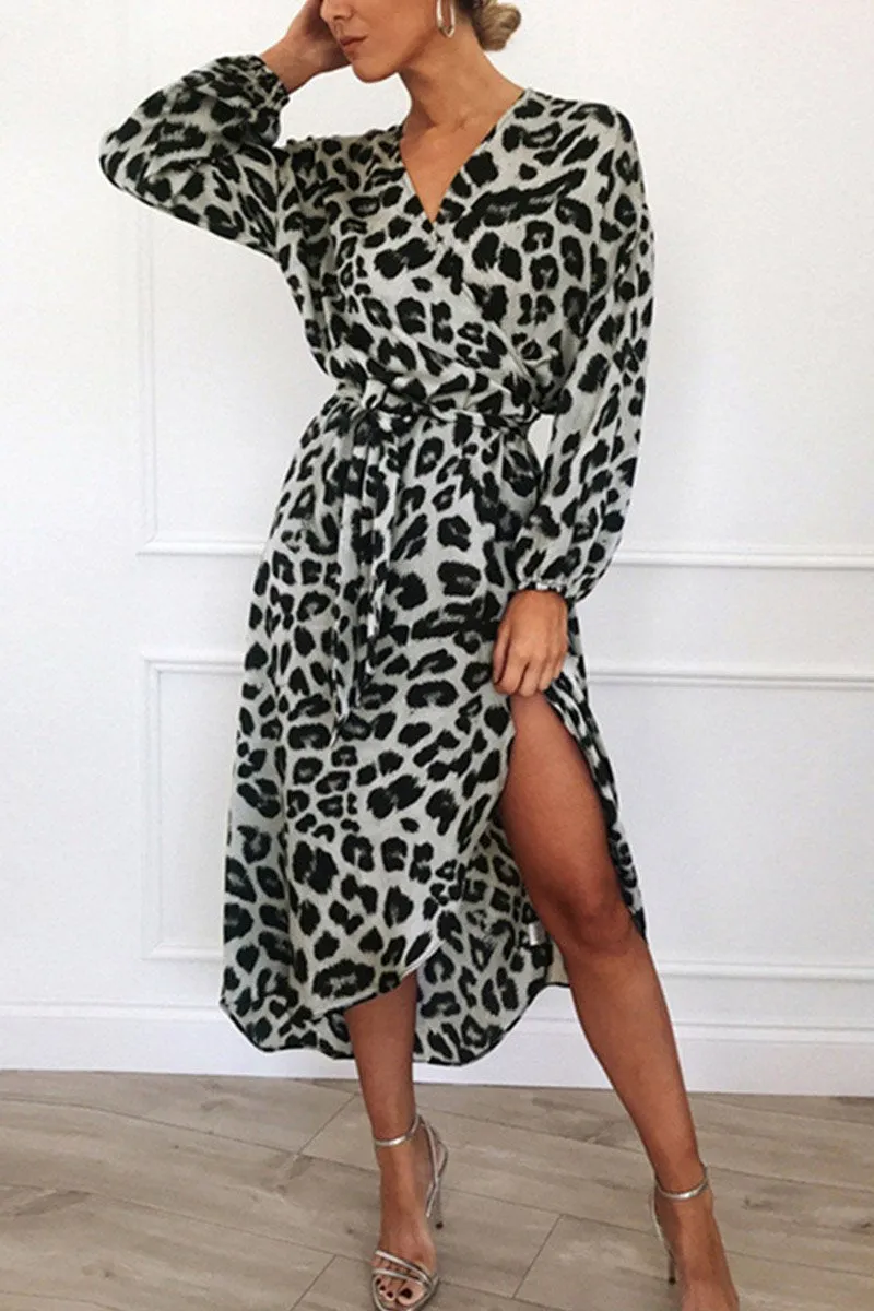 Leopard Print Wrap V Neck Dress