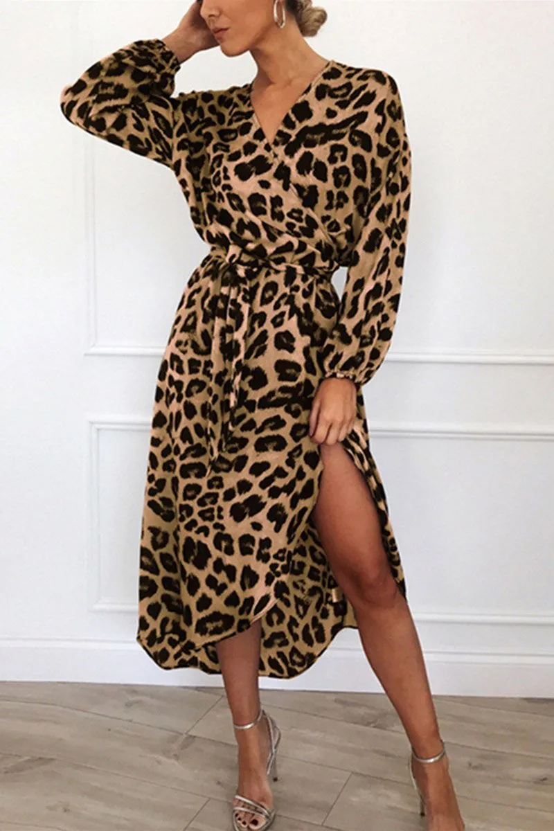 Leopard Print Wrap V Neck Dress