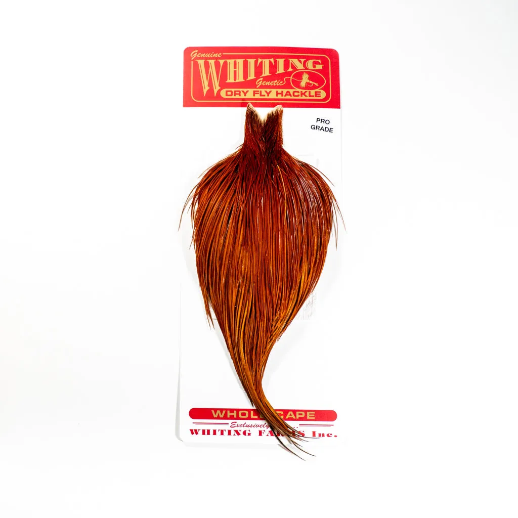 Whiting Pro Grade Rooster Cape Whole