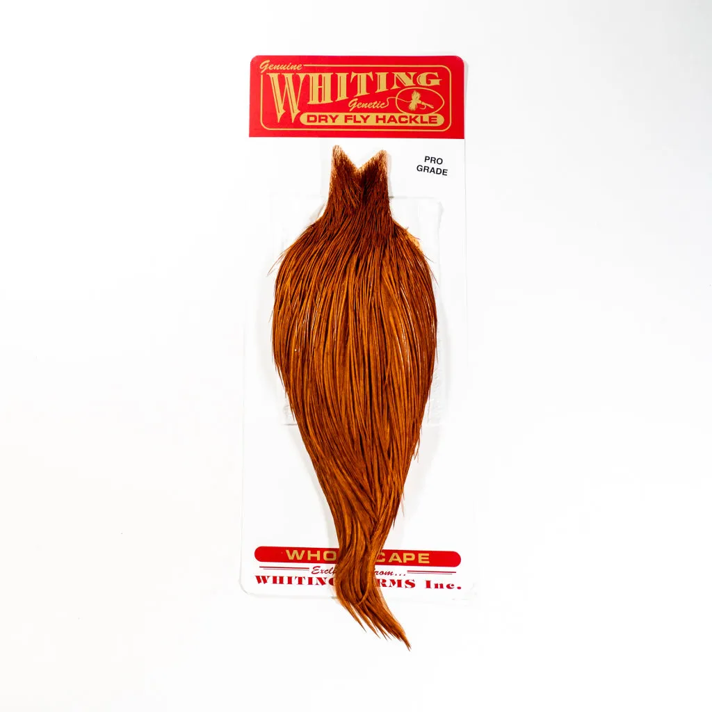 Whiting Pro Grade Rooster Cape Whole